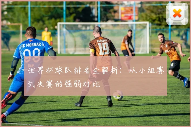 世界杯球队排名全解析：从小组赛到决赛的强弱对比