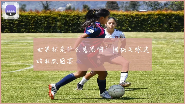 世界杯是什么意思啊?揭秘足球迷的狂欢盛宴