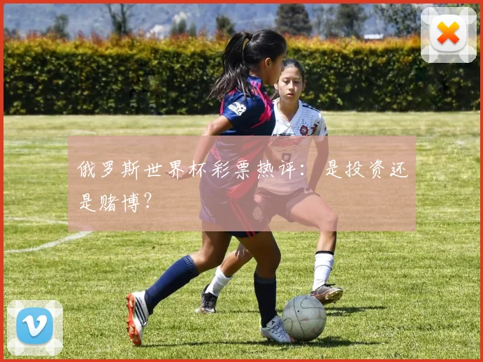 俄罗斯世界杯彩票热评：是投资还是赌博？