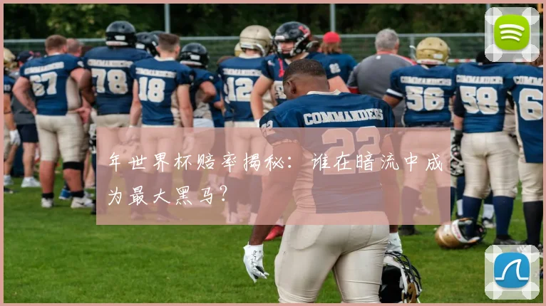 年世界杯赔率揭秘：谁在暗流中成为最大黑马？