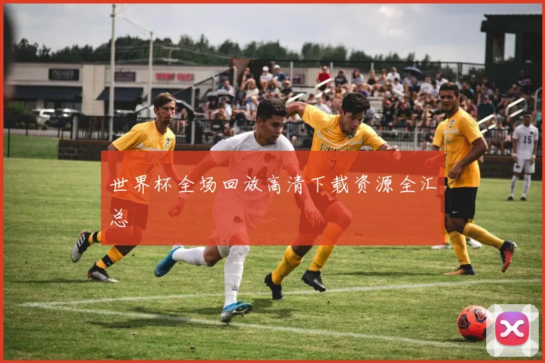 世界杯全场回放高清下载资源全汇总