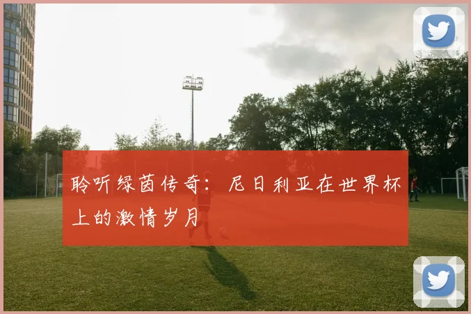 聆听绿茵传奇：尼日利亚在世界杯上的激情岁月