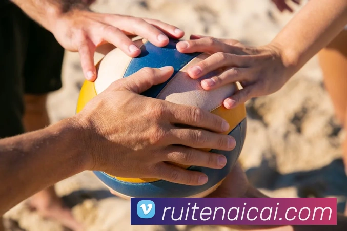 App Interface Preview