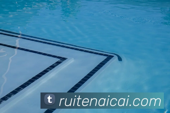 开云手机入口登录官网APP 封面图